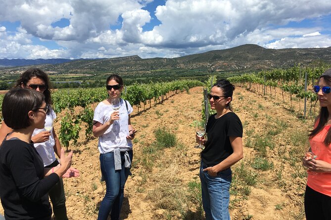 2-Day Tour: Gaudi & Sagrada Familia + Montserrat & Winery - Park Güell and Sagrada Familia: Skip the Lines, Use Your Headphones