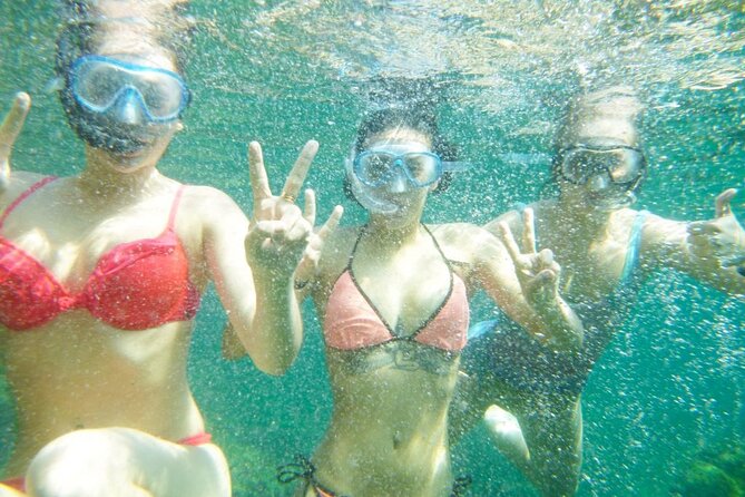 2h Guided Kayak Tour on the Costa Brava - Marine Life and the Swim: What Crystal-Clear Water Looks Like