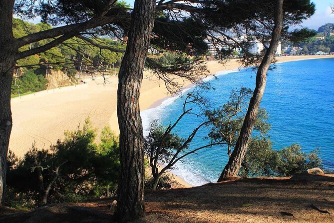 2h Guided Kayak Tour on the Costa Brava - Price and Value: Is $48.27 Worth It?