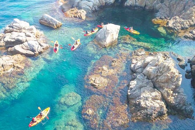 2h Guided Kayak Tour on the Costa Brava - Who Should Book This Kayak Tour (And Who Shouldn’t)