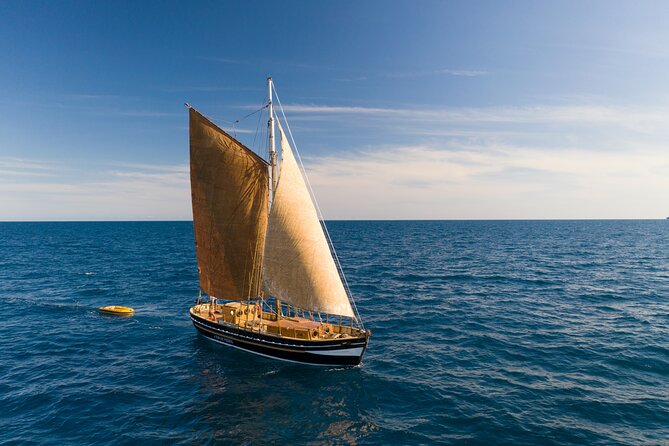 8-Hour Whale Watching in Barcelona - Morning Cruise From Port Olímpic: Your 9:00 Start