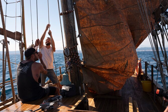 8-Hour Whale Watching in Barcelona - Help Hoist the Sails on the Return Trip