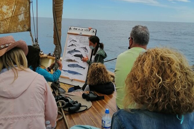 8-Hour Whale Watching in Barcelona - Food and Comfort on an 8-Hour Sea Day