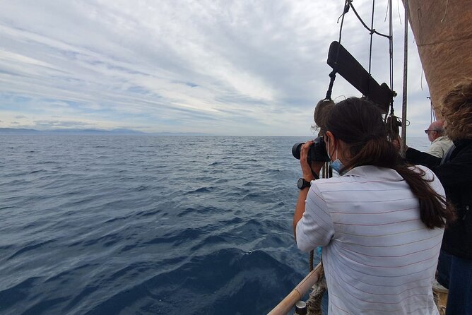 8-Hour Whale Watching in Barcelona - Small Group Size: Why Max 10 Changes the Day