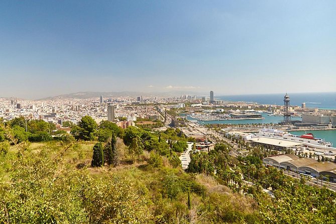 8 hours Barcelona Highlights Private tour - Price and value: when $1,324.52 per group feels fair