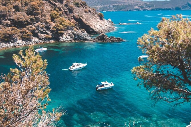 Adventure in the Cap de Creus Discover and Bathe in a Wild Cove - Why this boat day off Cadaqués feels like the right kind of adventure