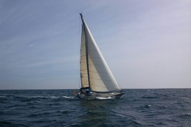 Authentic Barcelona Sailing Tour with Swim & Drinks - Who This Tour Fits Best (And Who Should Skip It)
