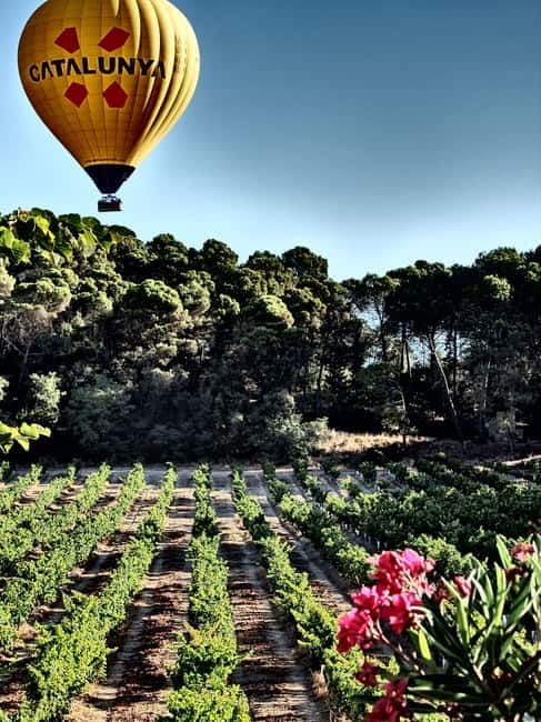 Balloon flight: panoramic view of Montserrat and Transport from Barcelona - Key Things You’ll Remember
