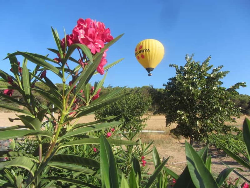 Balloon flight: panoramic view of Montserrat and Transport from Barcelona - From Hotel Regina to Montserrat in Under an Hour
