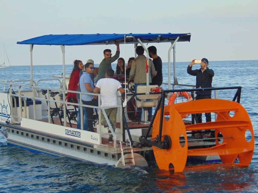 Barcelona: 1.5-Hour Private Scenic Pedal Boat Tour - Pedaling on open water: how to pace yourself