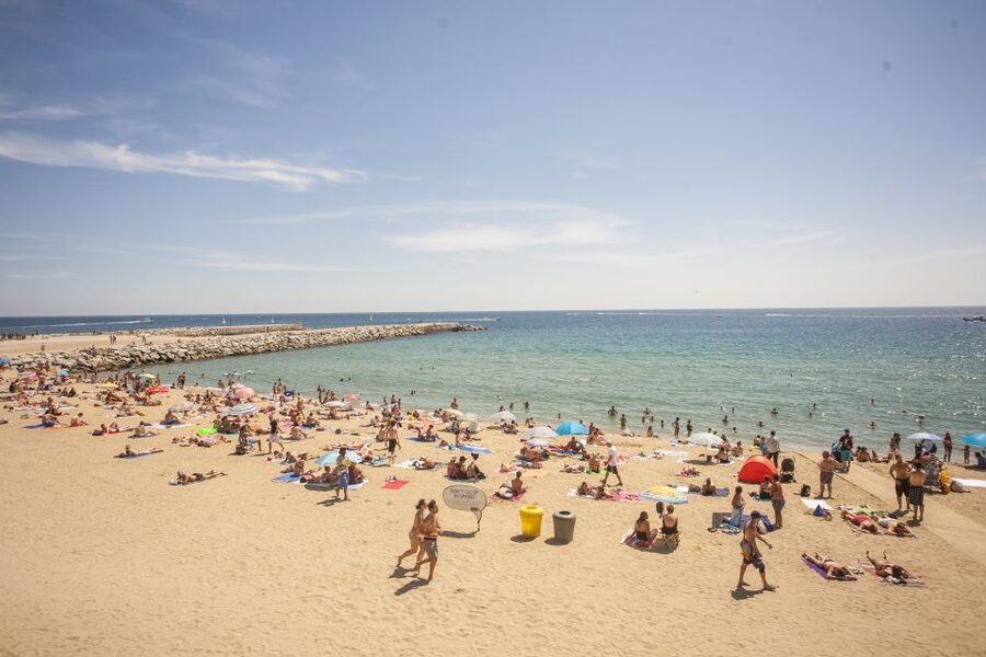 Barcelona: 2-Hour City Sights Guided Segway Tour - Ending Near El Born and the Basilica Area