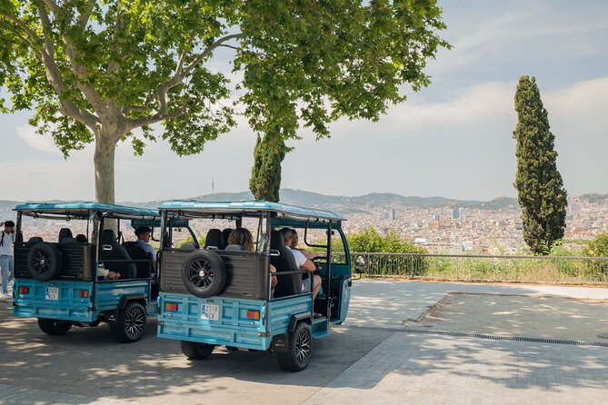 Barcelona 2 Hours Private Tuk-Tuk Tour - Ending with Port Vell and Parc de la Ciutadella: sea air and a breather