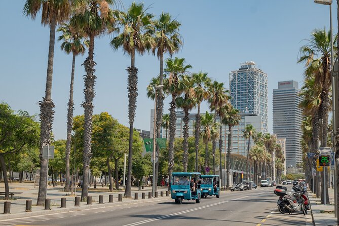 Barcelona 2 Hours Private Tuk-Tuk Tour - Price and value: what $53.56 per person really buys you
