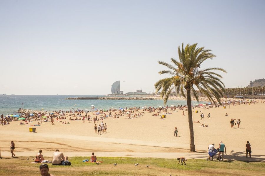Barcelona: 3-Hour Segway Sightseeing Tour - Sant Sebastià beach and Barceloneta: street scenes and the sea story