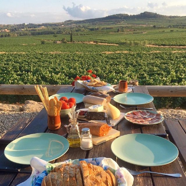 Barcelona: 3 Penedes Wineries with Hotel Pick-up and Lunch - From Barcelona to Penedès: Why This Day Trip Works