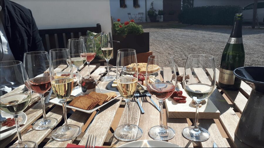 Barcelona: 3 Penedes Wineries with Hotel Pick-up and Lunch - Stop 3: Long-Aged Cavas, Chocolate, and Marta’s Family Perspective