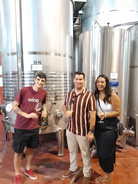 Barcelona: 3 Penedes Wineries with Hotel Pick-up and Lunch - What You’ll Actually Learn (And How to Taste Smarter)
