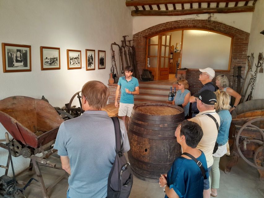 Barcelona: 3 Penedes Wineries with Hotel Pick-up and Lunch - Price and Value: Is $206 Fair for This Penedès Day?