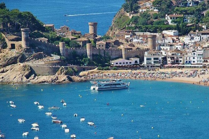 Barcelona Airport, Cuise Port or City Hotels Private Transfer - Inside the minivan: comfort plus real help with luggage
