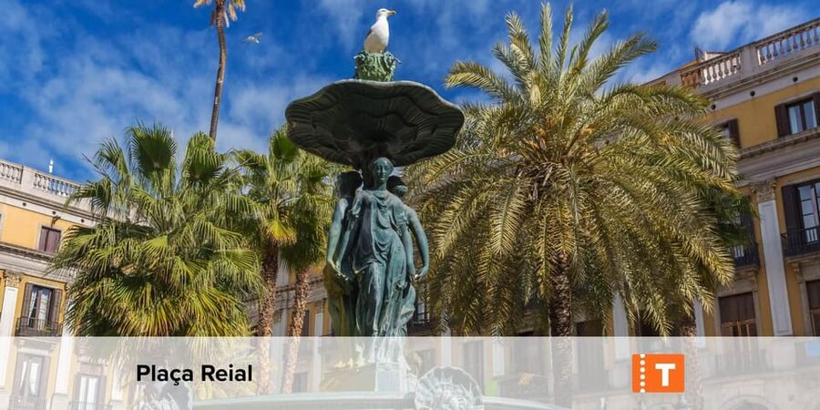 Barcelona: All-Inclusive City Pass & Public Transport Option - Art Museums, Photo Stops, and Quirky Tickets You’ll Be Glad You Added