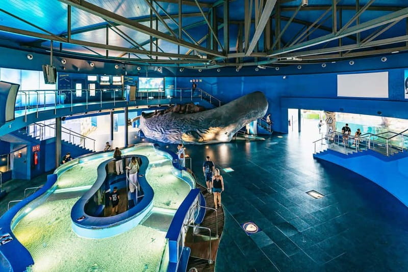 Barcelona Aquarium: Entry Ticket - Food, Photos, and the Stuff You’ll Want to Buy