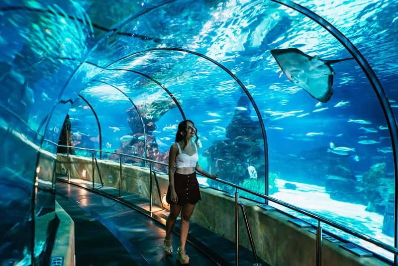Barcelona Aquarium: Entry Ticket - Europe’s Largest Digital Floor Screen: Learning Without Reading a Manual