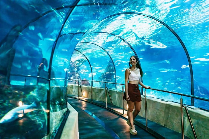Barcelona Aquarium: Entry Ticket - Mediterranean, Tropical, and Mangroves: What You’ll Actually See