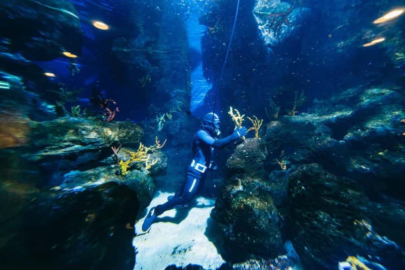 Barcelona Aquarium: Entry Ticket - Planeta Aqua: The Permanent Exhibit That’s Surprisingly Useful