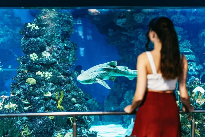 Barcelona Aquarium: Entry Ticket - Price and Value: Is $34 per Person Worth It?
