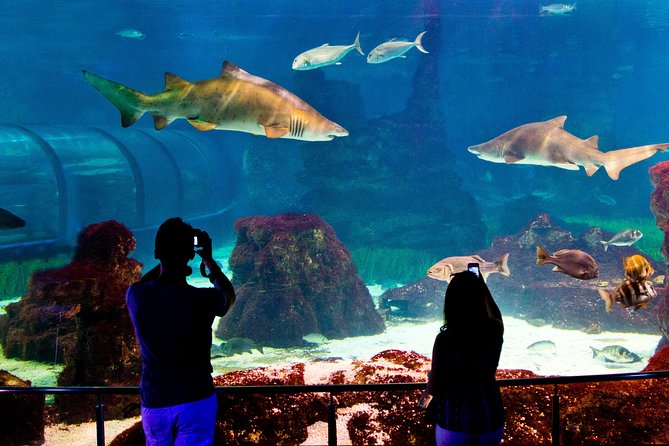 Barcelona Aquarium Skip the Line Ticket - Crowds, Lines, and Signage: The Real-World Friction Points