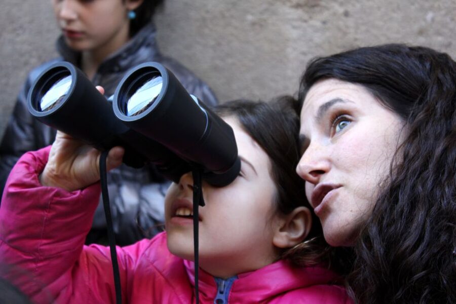 Barcelona: Barrio Gótico Dragon Tour for Families - Who This Tour Suits Best (and Who Might Skip It)