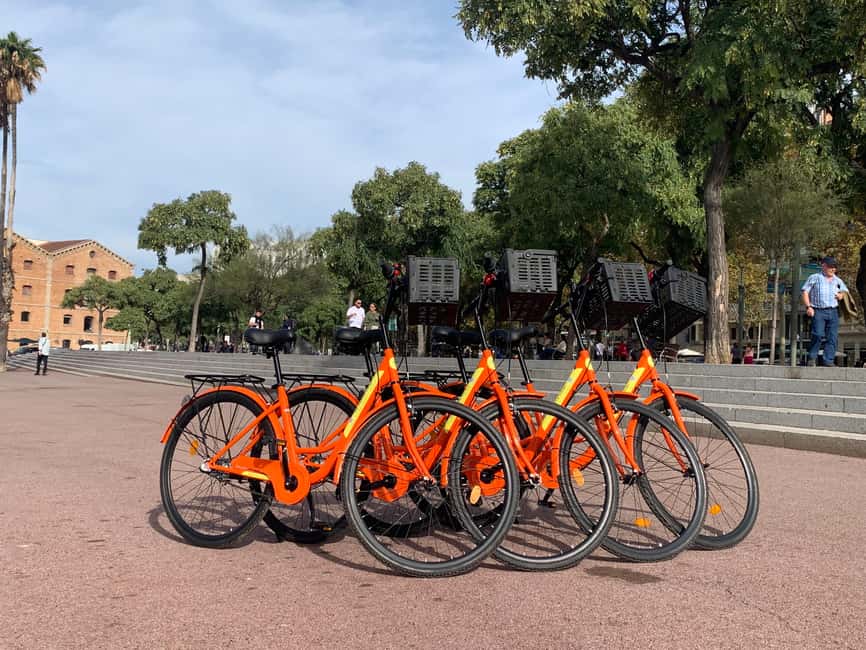 Barcelona Bike Tour: Iconic Sights & Hidden Spots - Beyond icons: neighborhood streets, seaside paths, and real city flow