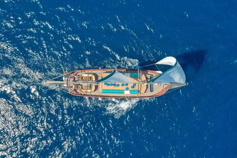 Barcelona: Boat and Supercar Driving Experience - The 90-Minute Sailing Cruise: Snacks, Sea Views, and City-From-Another-Angle