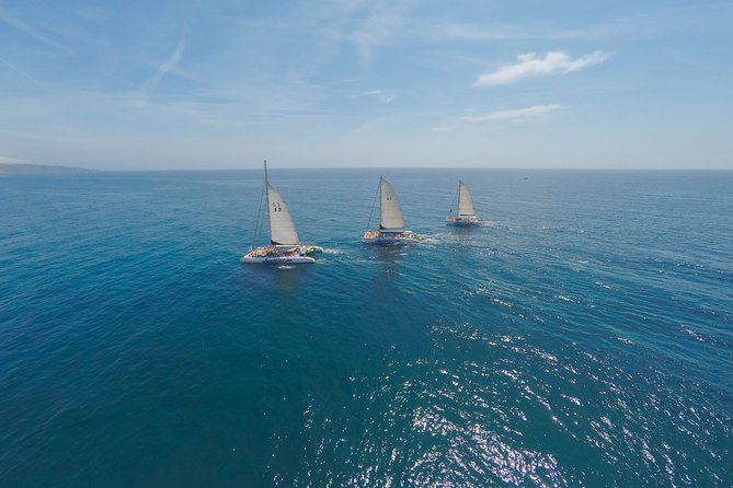 Barcelona Catamaran Party Tour For Young People - Price and Value for a Barcelona Party Catamaran