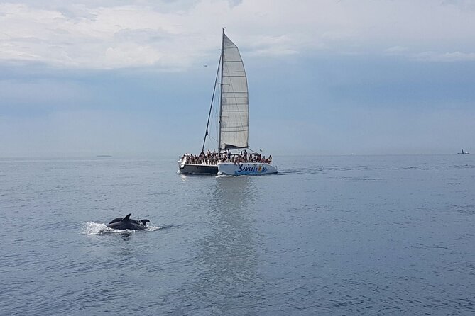 Barcelona Catamaran Party Tour For Young People - Music, Social Energy, and the Party Style