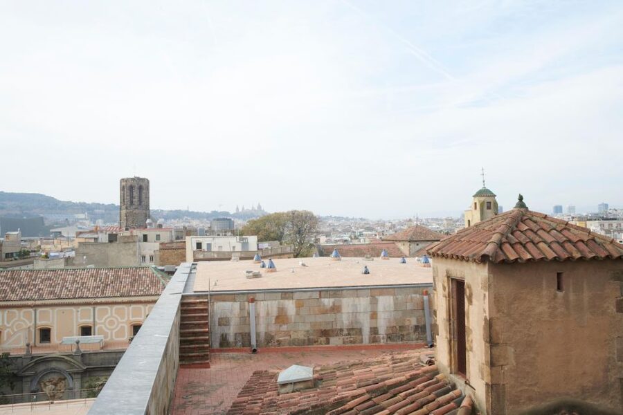 Barcelona Cathedral: Ticket, Guided Tour and VR Experience - Terraces and Rooftop Views: Barcelona From Above (with Elevator Access)