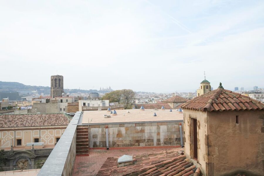 Barcelona Cathedral: Ticket, Guided Tour and VR Experience - VR Glasses in Off-Limits Cathedral Spaces: What Makes It Feel Different