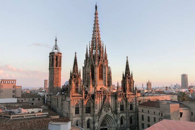 Barcelona Cathedral: Ticket, Guided Tour, Terrace + VR Experience - Barcelona Cathedral, Wired: Rooftop Views + VR