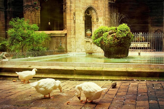 Barcelona Cathedral: Ticket, Guided Tour, Terrace + VR Experience - The Rooftop Terrace: Views That Just Feel Like Barcelona