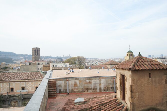 Barcelona Cathedral: Ticket, Guided Tour, Terrace + VR Experience - How the 1 Hour 15 Minutes Plays Out