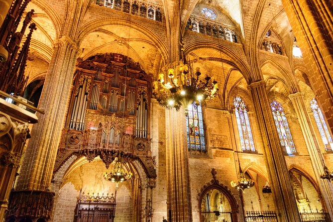 Barcelona Cathedral: Ticket, Guided Tour, Terrace + VR Experience - Getting There at Pcta. de la Seu, 7 Without Stress