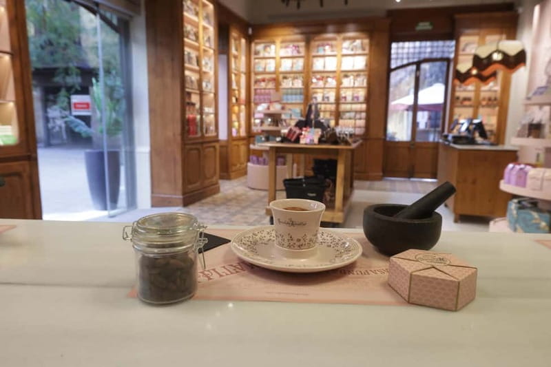 Barcelona & Chocolate Amatller History and Culture + Activity and Tasting - Key highlights you’ll actually feel