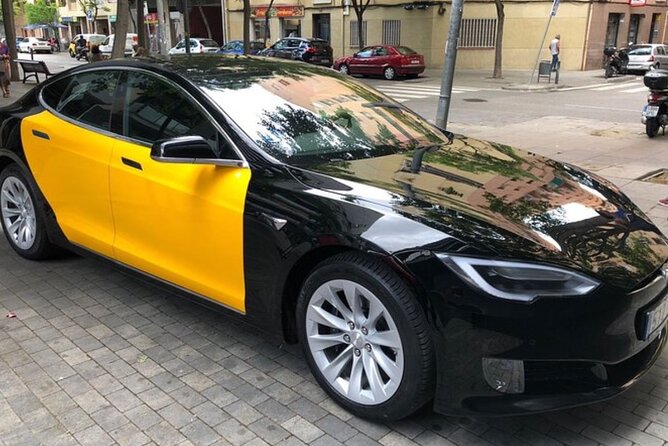 Barcelona City to Cruise Port Private Transfer - Door-to-Port Logistics: Hotel Lobby to Cruise Port Drop-Off