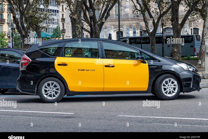 Barcelona city to/from Airport, cruise Port private Transfer - Punctuality and Communication: What the Best Drivers Do Right