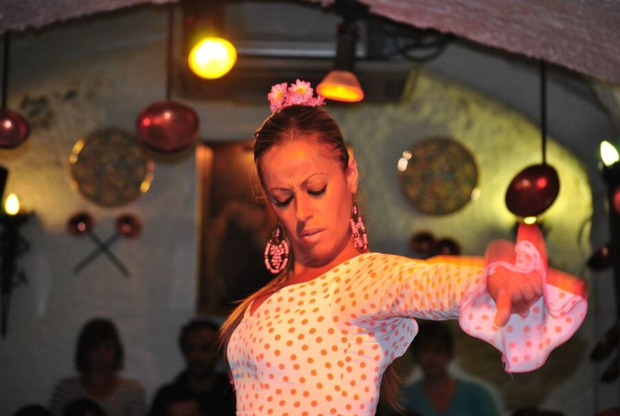 Barcelona: City Tour & Flamenco Show with Wine & Tapas - Price and Value: Is $141 a good deal for this mix?