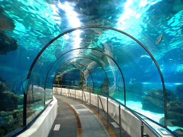 Barcelona City Tour Hop-On Hop-Off and Aquarium - Key things to know before you go