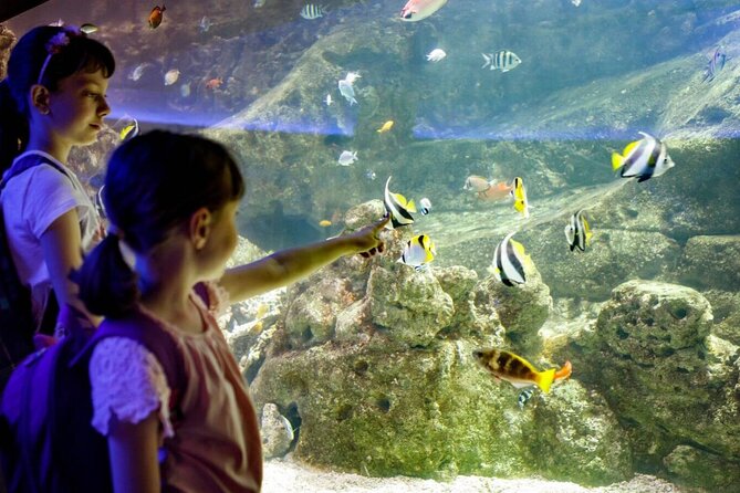 Barcelona City Tour Hop-On Hop-Off and Aquarium - Building your day with bus frequency: start 9AM, then time the aquarium