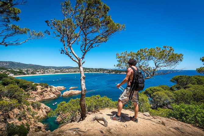 Barcelona: Costa Brava Easy Hike, Snorkel, Cliff-Jump & Meal - Camí de Ronda: why this coastal walk feels special