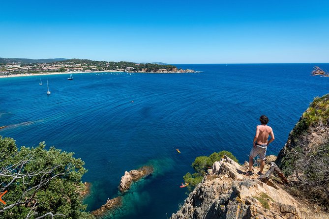 Barcelona: Costa Brava Easy Hike, Snorkel, Cliff-Jump & Meal - Snorkeling in the marine reserve: what to look for