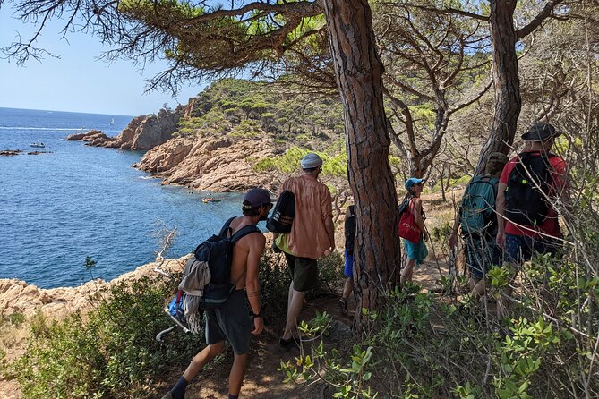 Barcelona: Costa Brava Easy Hike, Snorkel, Cliff-Jump & Meal - Cliff jumps on safe options: how the guide helps you choose